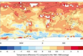 WMO: Five hottest years on record have occurred since 2011